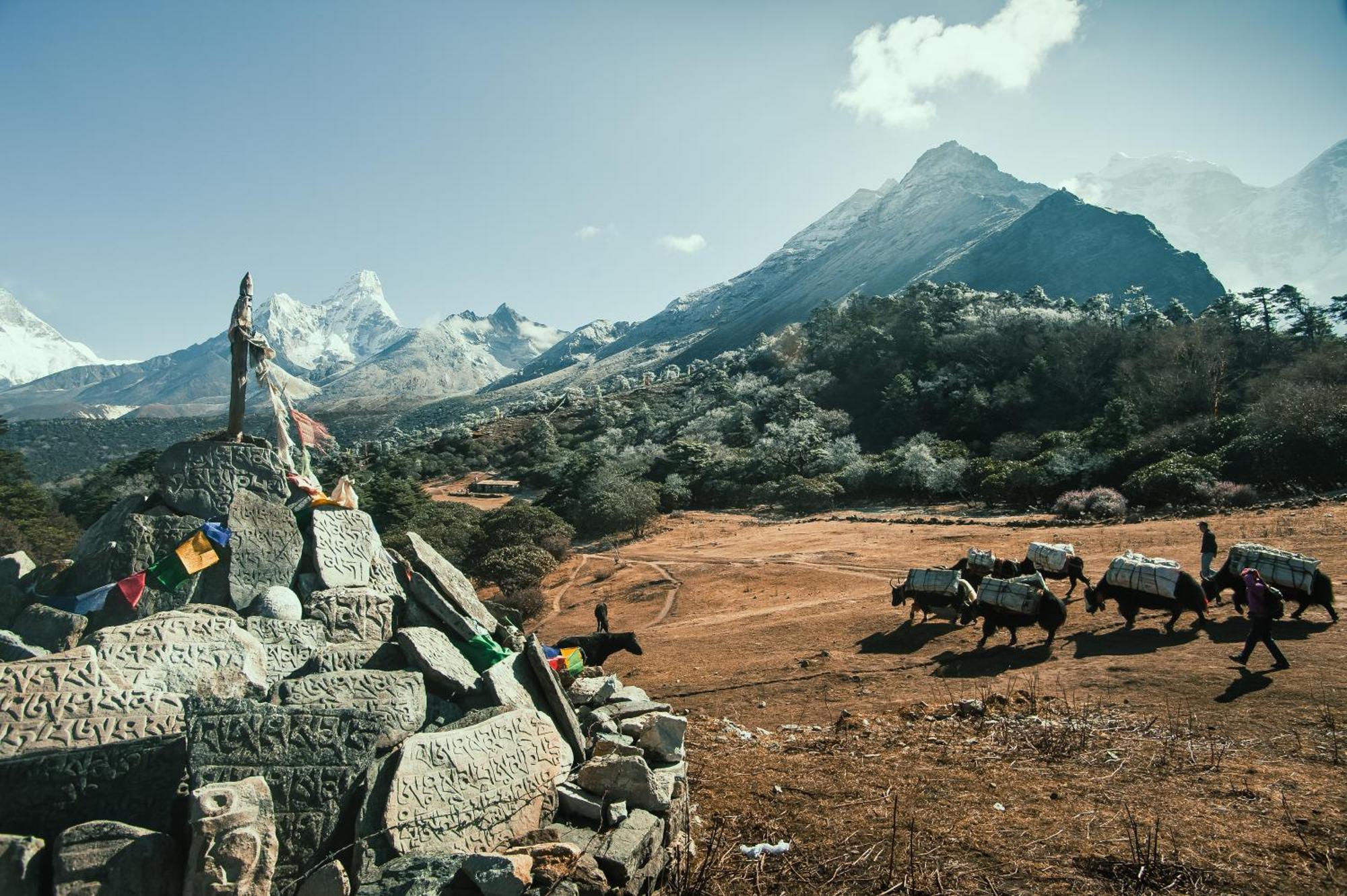 Mountain Lodges Of Nepal - Namche Екстериор снимка